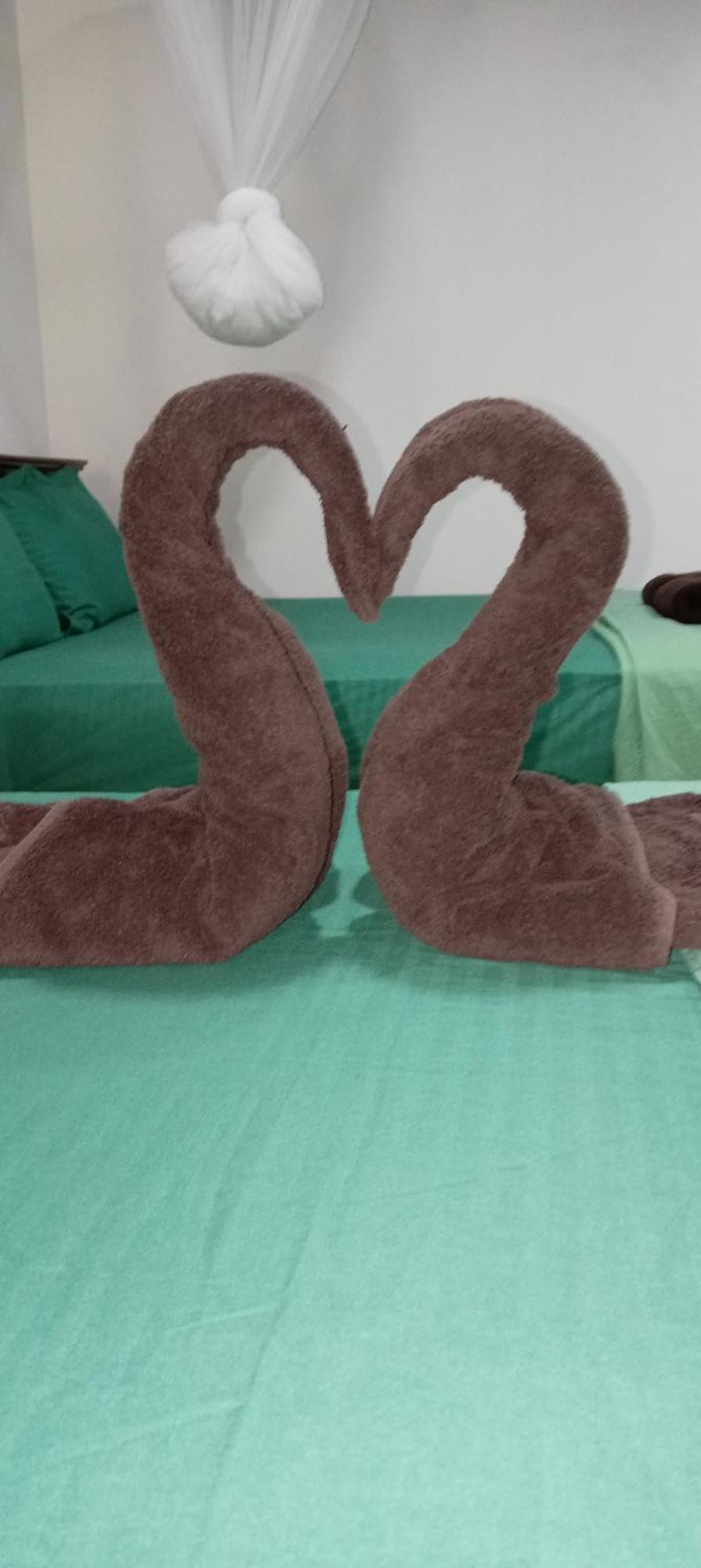 Moonlight Homestay